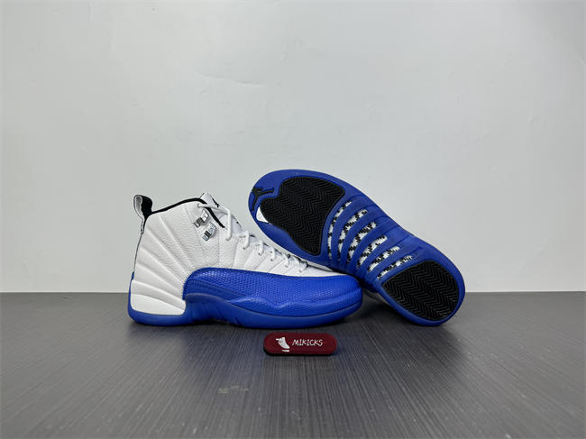 Air Jordan 12 Blueberry CT8013-140
